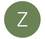 Z Chambers logo design and visual branding